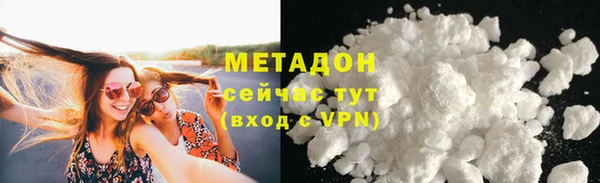 сатива Балахна