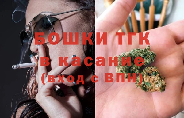 сатива Балахна