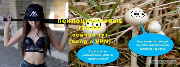 PSILOCYBIN Балабаново