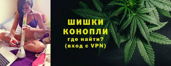 сатива Балахна