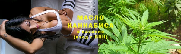сатива Балахна