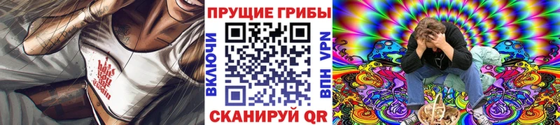 маркетплейс наркотические препараты  купить наркоту  Ленинск-Кузнецкий  Галлюциногенные грибы Magic Shrooms 